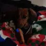 tabbyjohnson23 - @tabbyjohnson23 - TikTok