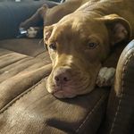 Tabatha Miller - @tabby.miller.520 - Instagram