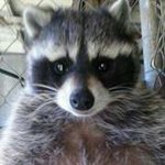 Tabby Miller - @tabitha108 - Instagram