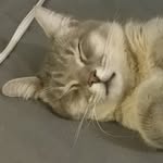 Tabby Morris Barnes - @k2kitty25 - Instagram