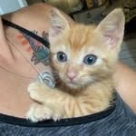 Tabby Thompson - @tabbythompson9 - Instagram