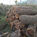 Wood Timber - Facebook
