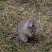 Wyatt Taber - Facebook