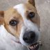 Tabatha J. Coombs - Facebook