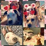 Tabetha Davis - @wildhorses_2021 - Instagram