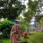 Tabitha - @tabithaheldahairani04 - Instagram
