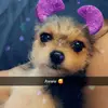 Tabatha Rodriguez - @tabatha_rodriguez76 - TikTok