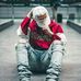 Tabi King - Facebook