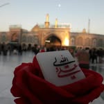 Tabish Rizvi - @tabish_014 - Instagram