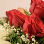 Tabish Sohail - @tabishiqbal444 - Instagram