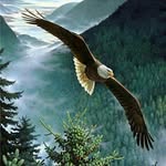 Tabishsohail - @tk4598317 - Instagram