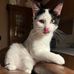 Tabitha Shivers Abrams - Facebook