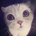 Tabitha Albert - Facebook