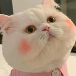 tabithaalvarez - @tabithaalvarez3768 - Instagram