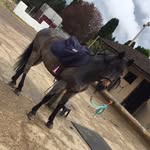 Tabitha Anne France - @angel_bae_ronan - Instagram