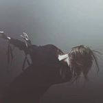 Tabitha Asher - @tabithaasher - Instagram