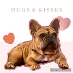 Tabitha Ashworth Hammer - @tabbycat522 - Instagram