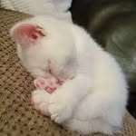tabitha ann meria baker - @tabitha.baker17 - Instagram