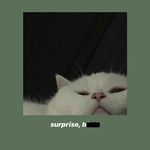 Tabitha Baker - @tabitha._.baker - Instagram