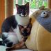 Tabitha Barnes - Facebook