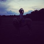 Tabitha Barnes - @mustang.forever - Instagram