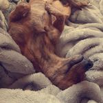 Tabitha Lynn Bartlett - @tabitha.arthur.940 - Instagram