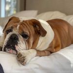 Frank Nussbaum - @tabitharosenussbaum - Instagram