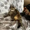 Aurora - @tabithaisabean - TikTok
