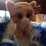 Tabitha (beanie Boo) - @tabithabeanie - Instagram