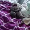 tabithabean33 - @tabithabean33 - TikTok