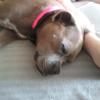 Tabitha Beattie - @spyder503 - TikTok