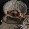 Tabitha Becker - @tabitha.becker5 - TikTok