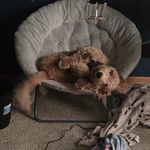 Tabitha Becker - @beckertabitha - Instagram
