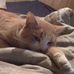 Tabitha Bemis - Facebook