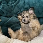Tabitha Bemis - @jkgirl19 - Instagram