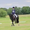 Tabitha Bennett - @tabithabennett.eq - TikTok