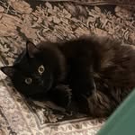 Tabitha - @bergerontabitha - Instagram