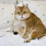 tabitha blue - @tabithablue2 - Instagram