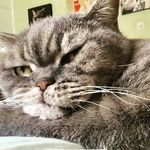 Tabitha Bluebell - @tabithabluebell - Instagram