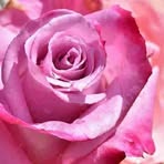 Tabatha Boggs - Facebook