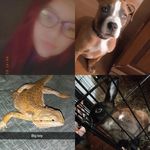 tabitha boggs - @tabitha_boggs21 - Instagram