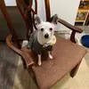 Tabitha Boozer788 - @tabithaboozer788 - TikTok