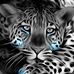 Tabatha Bowie - Facebook