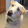 Tabitha Bradshaw - @user142132644 - TikTok
