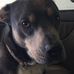 Tabitha Bridges - Facebook