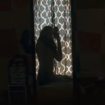 Tabitha Brown - @tabitha.b06 - Instagram