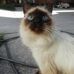 Tabatha Burchfield - Facebook