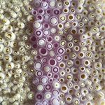 Tabitha Burrill - @tabithaburrill - Instagram