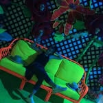 Tabitha Ashley Bushong - @tabithabushong - Instagram