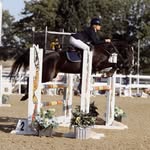Tabitha Callow - @tabitha.callow.showjumping - Instagram